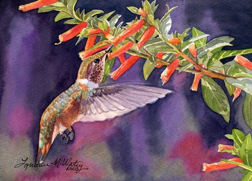 Little Orange Flash 5x7 $245 at Hunter Wolff Gallery